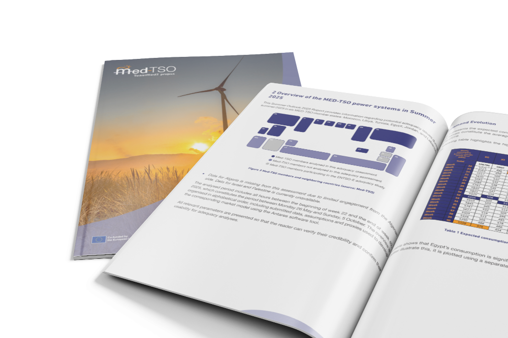 Med-TSO-Adequacy-Studies-Summer-Outlook-2025